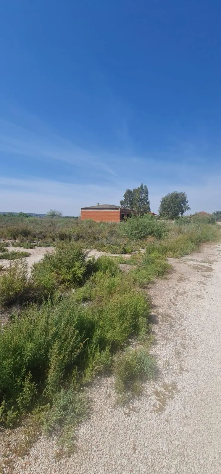 17,000-SQUARE-METER LOT between La Marina and La Hoya — 3
