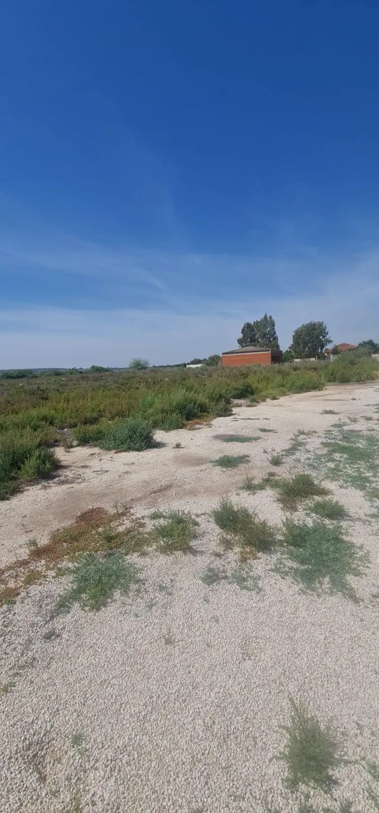 17,000-SQUARE-METER LOT between La Marina and La Hoya — 2