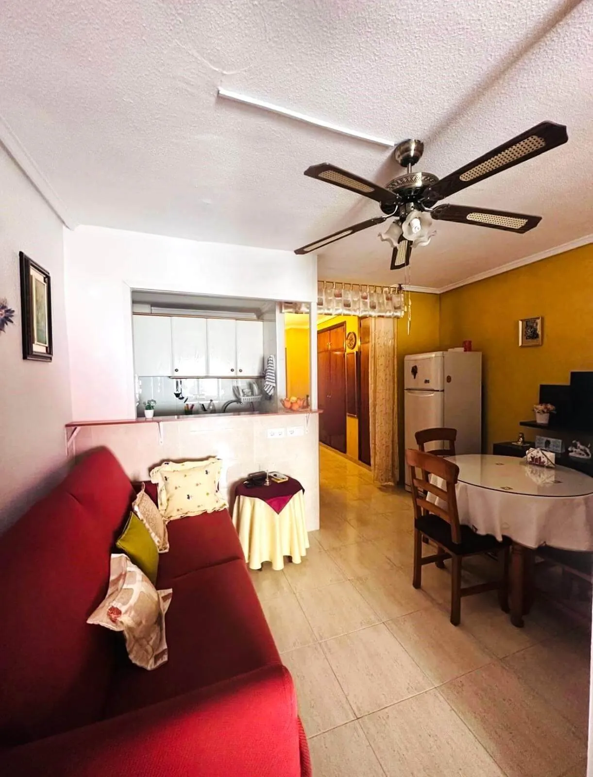 Studio apartment in Torrevieja (Playa de los Locos) — 1