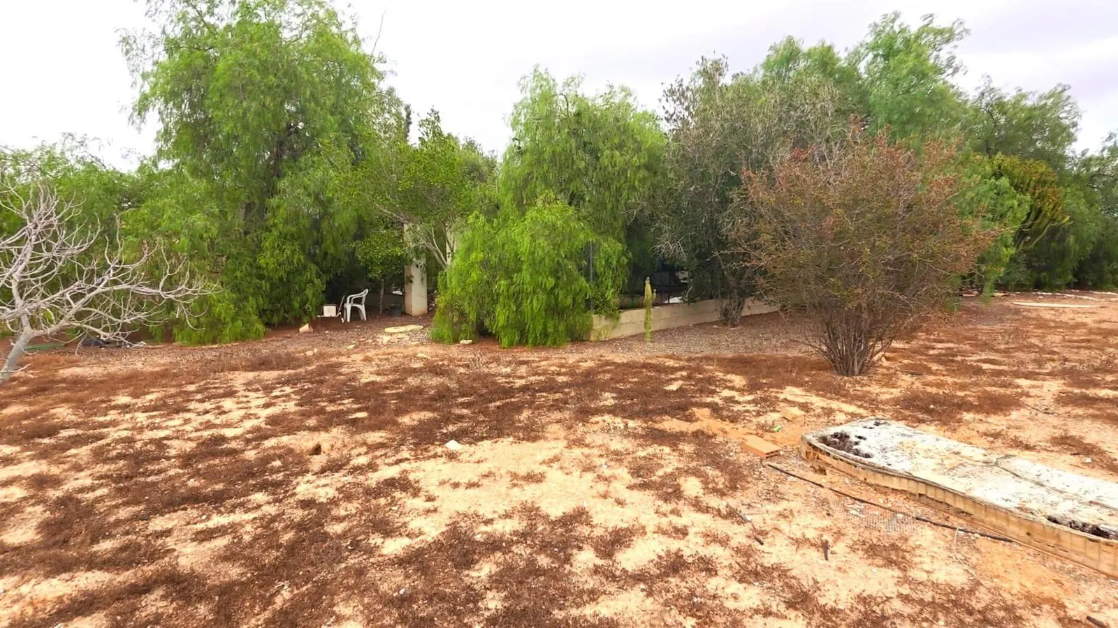 Lot in Los Montesinos (Costa blanca sur) — 1
