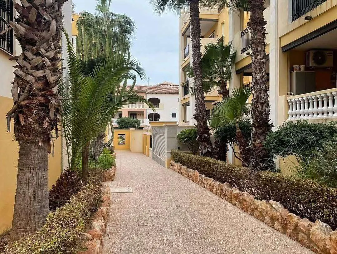 Penthouse in Torrevieja (Los Frutales) — 1