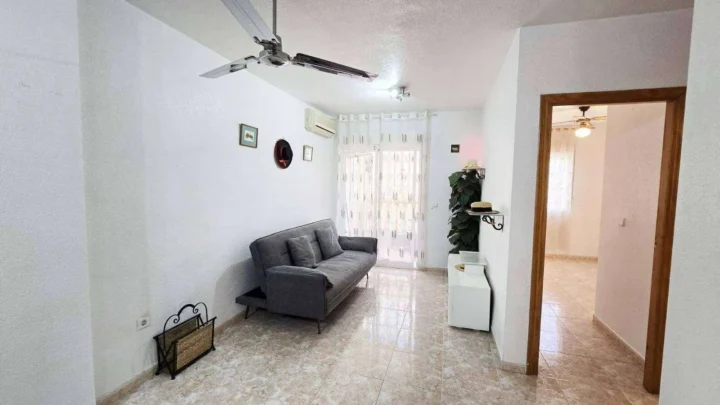 Apartment in Torrevieja (torrevieja)