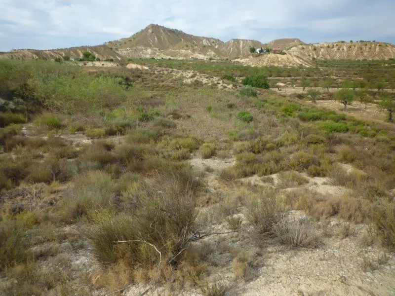 Lot in Orihuela (Desamparados-Hurchillo-Torremendo) — 5