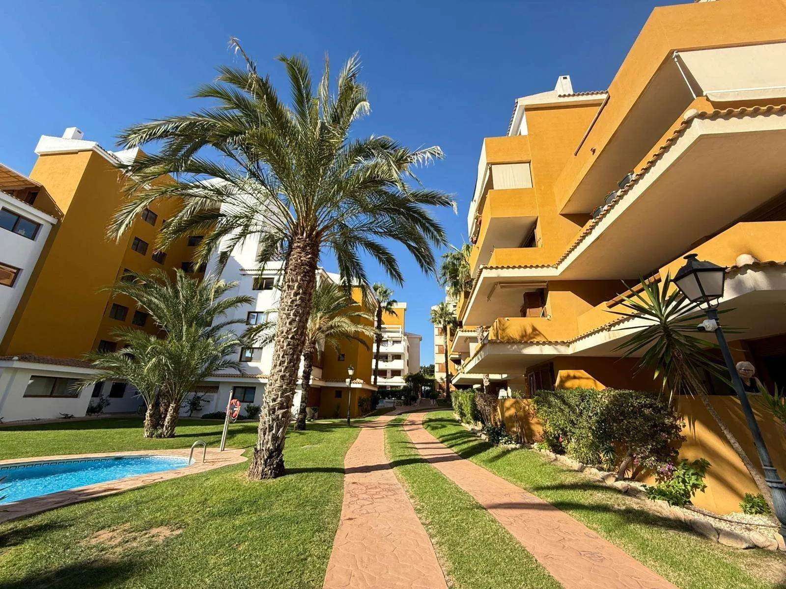 Apartment in Torrevieja (Punta Prima) — 1