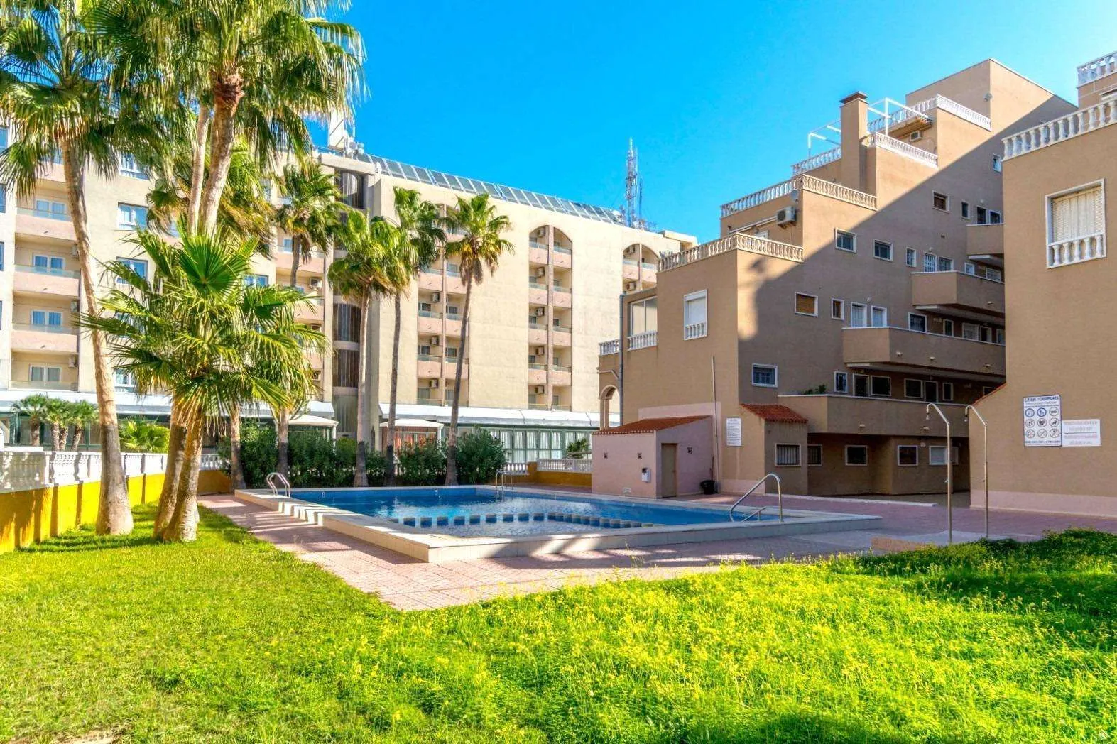 Apartment in Torrevieja (Punta Prima) — 1