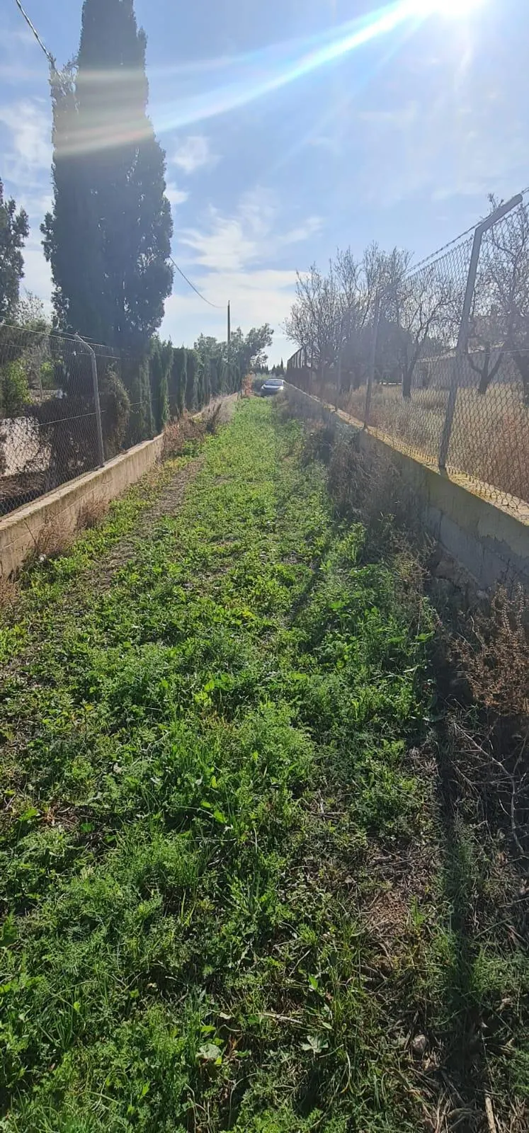 Lot in Torrellano (Torrellano) — 2