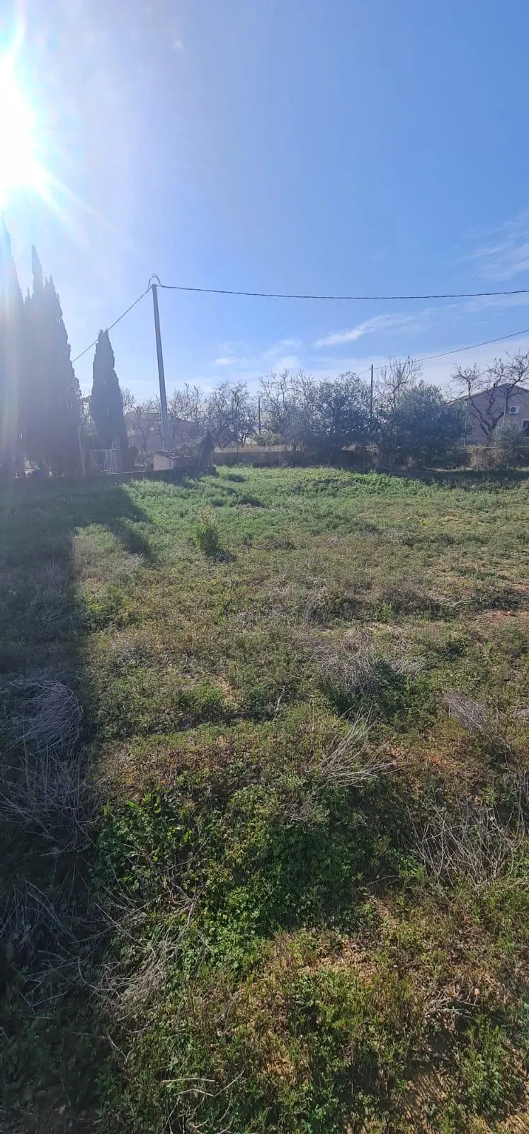 Lot in Torrellano (Torrellano) — 3