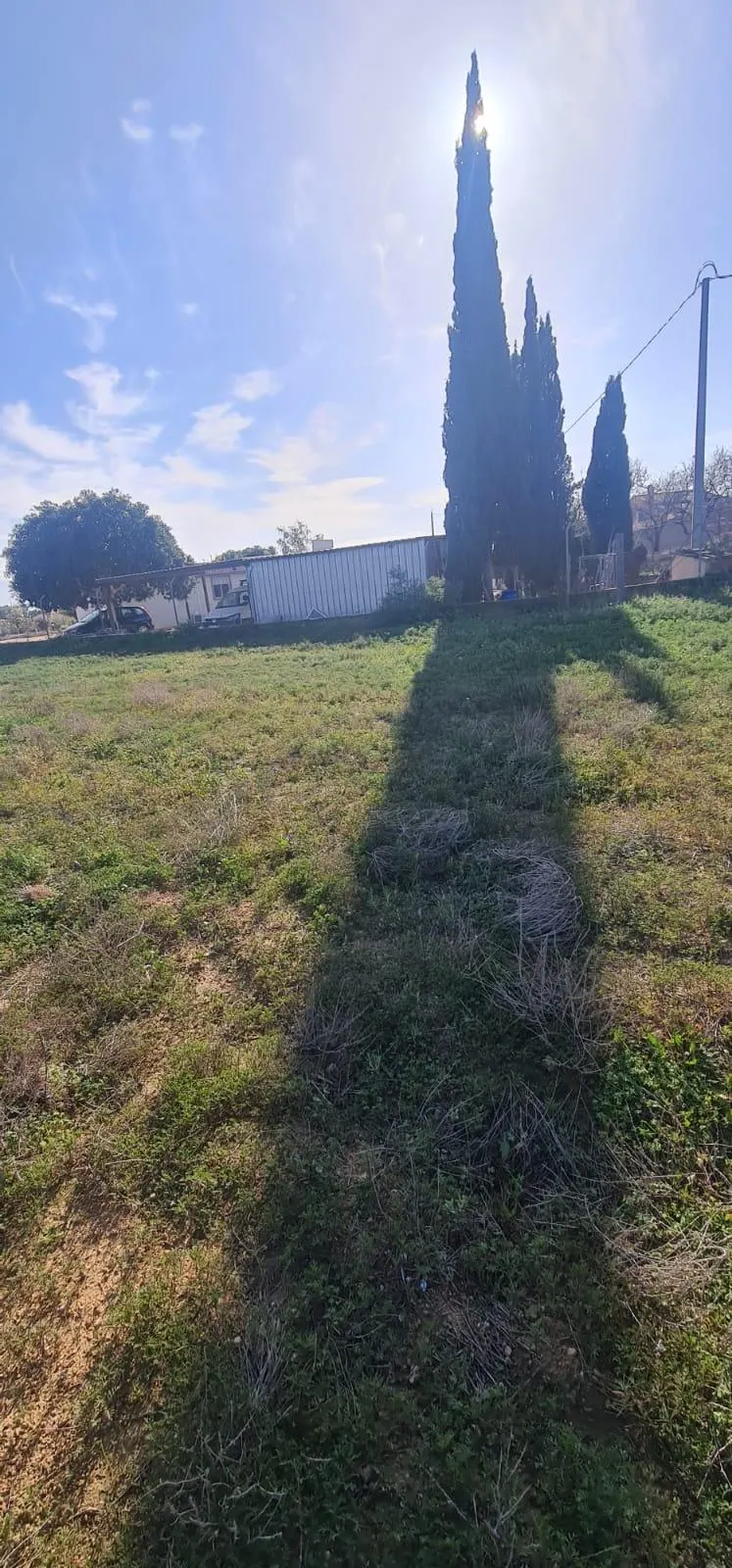 Lot in Torrellano (Torrellano) — 4