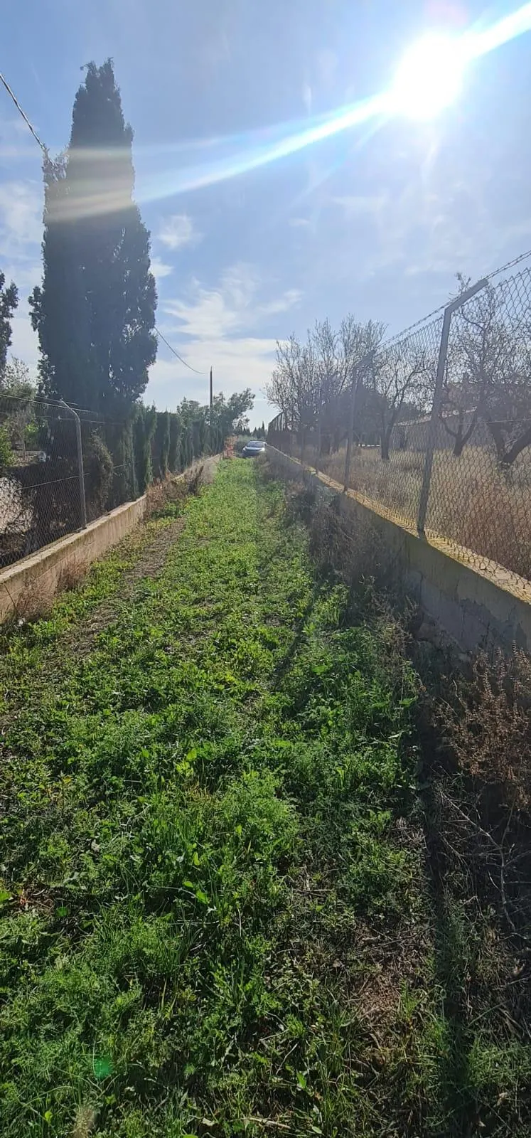 Lot in Torrellano (Torrellano) — 5