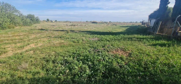 Lot in Torrellano (Torrellano)