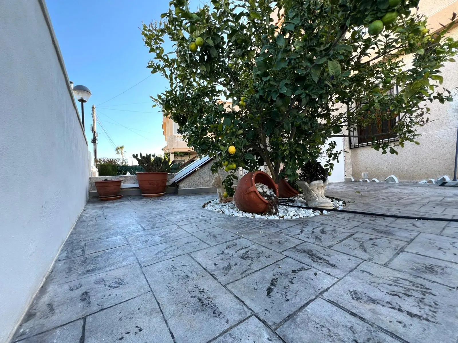 Bungalow in Torrevieja (Torreblanca) — 3