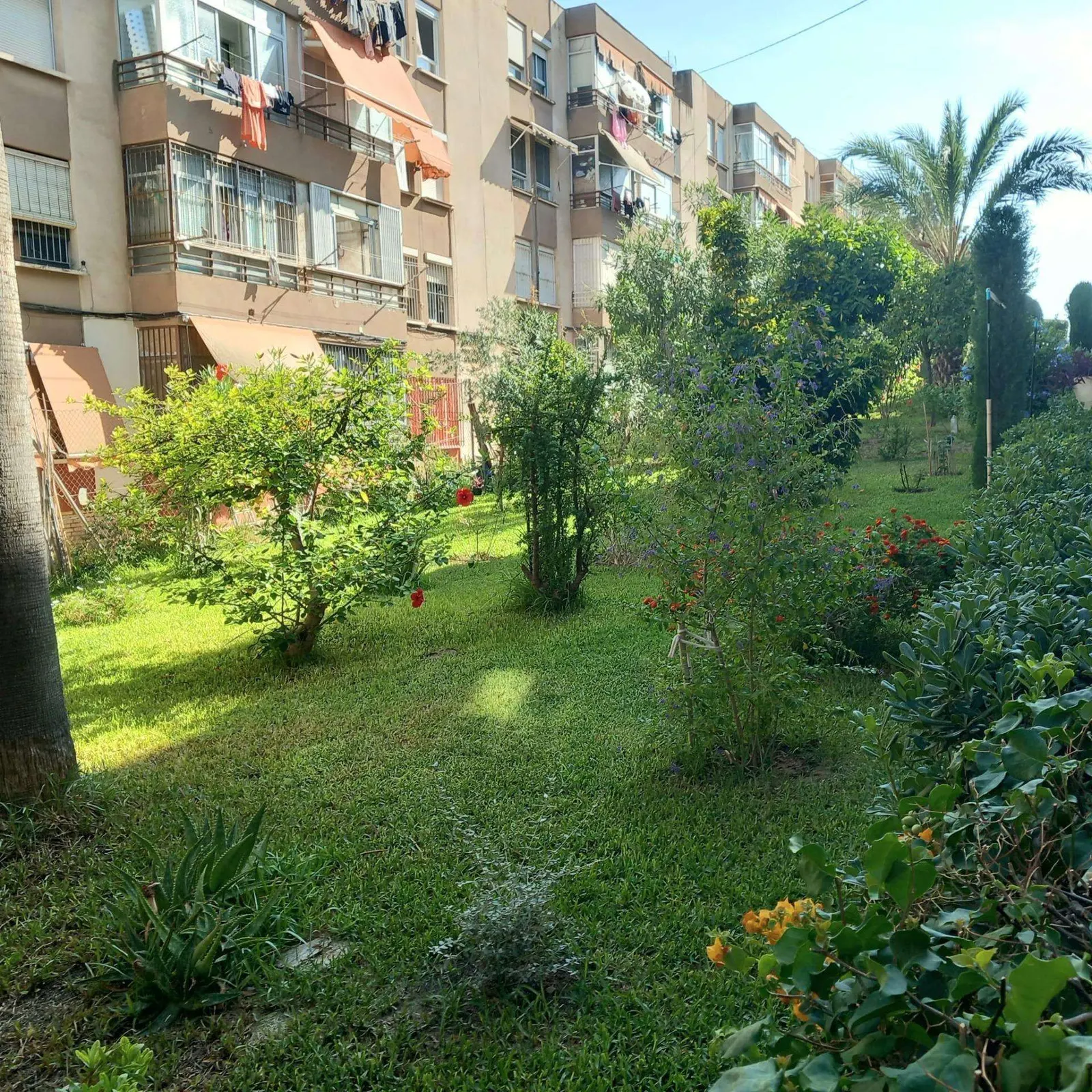Apartment in Alicante (Juan XXIII) — 5