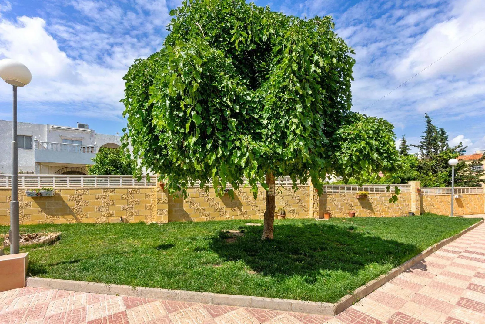 Bungalow in Torrevieja (El chaparral) — 4