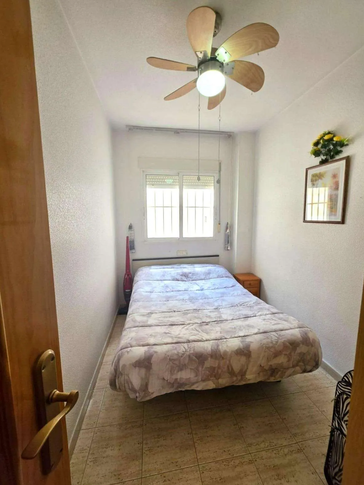 Apartment in Guardamar del Segura (Los secanos) — 4