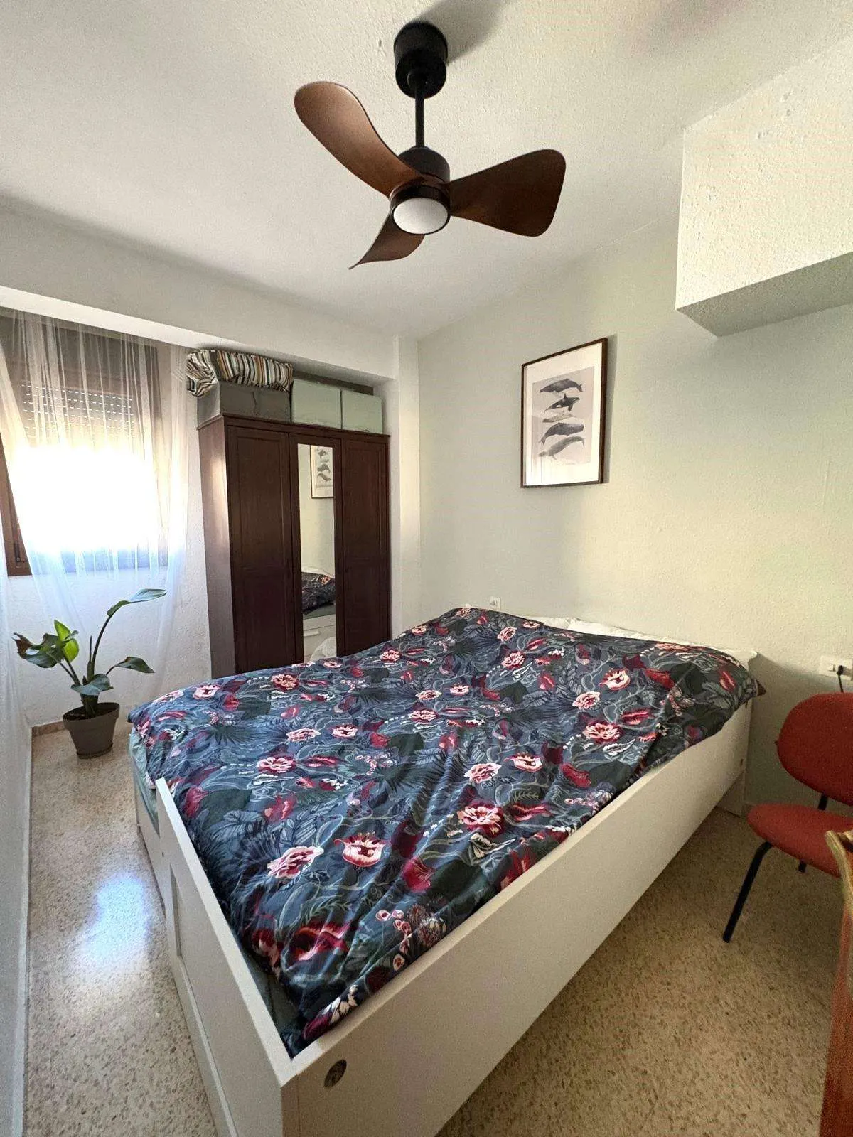 Apartment in Alicante (San Blas) — 5