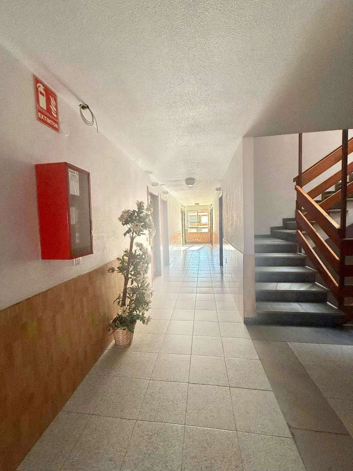 Apartment in Torrevieja (Centro) — 5