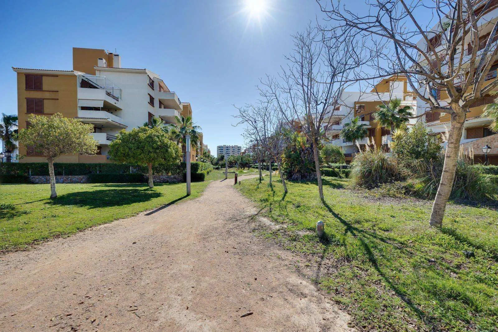 Apartment in Torrevieja (Punta Prima) — 3
