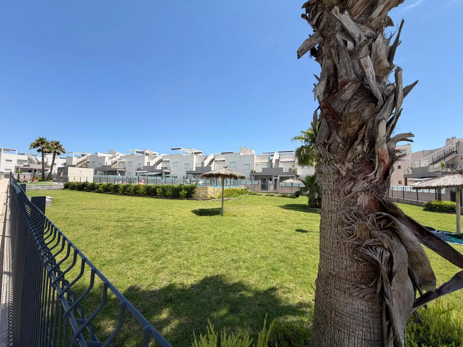 Ground-floor unit in Torrevieja (Zona los Frutales) — 3