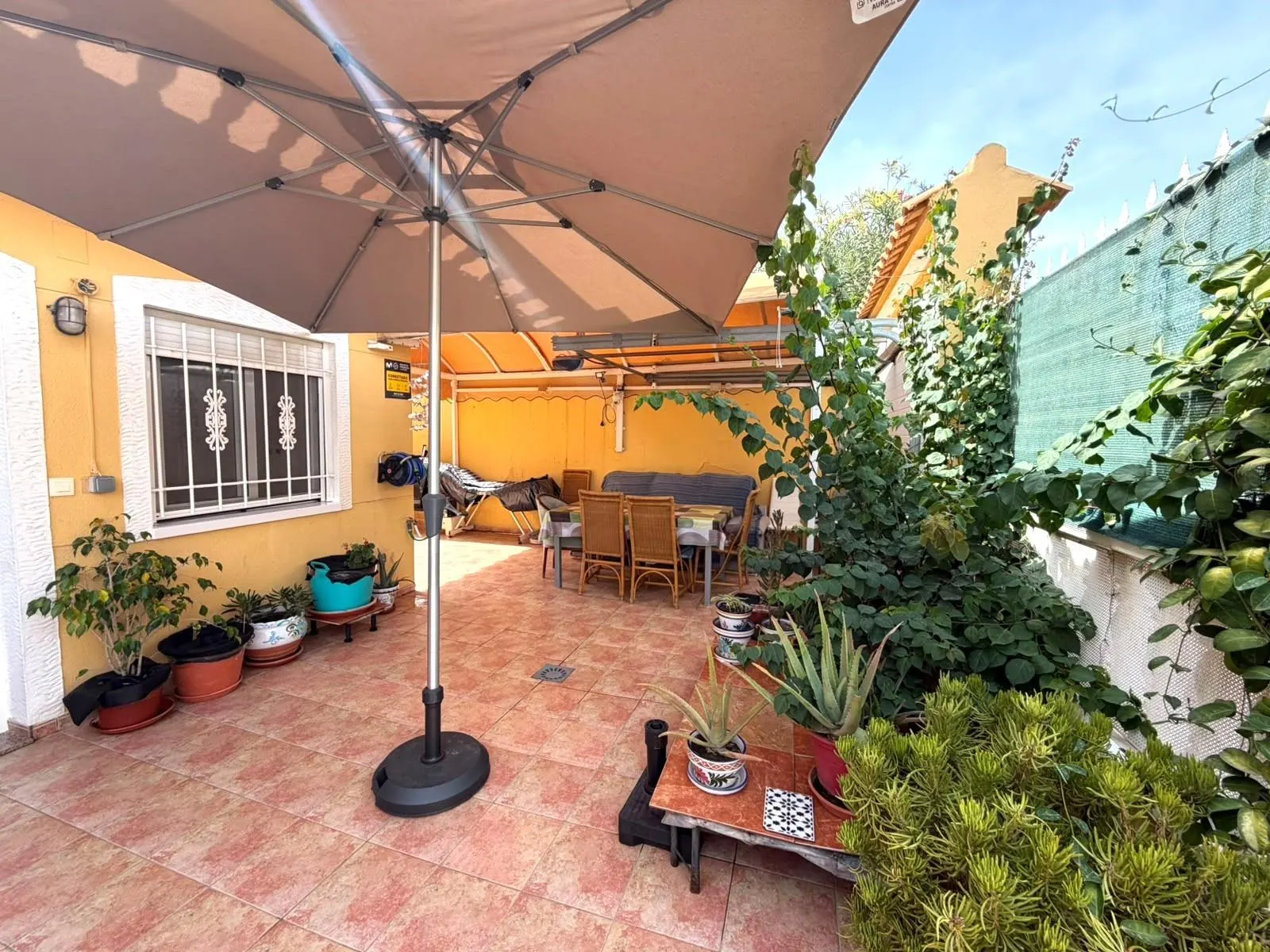 Bungalow in Torrevieja (La Mata) — 1