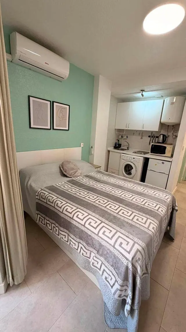 Studio apartment in Torrevieja (torrevieja)