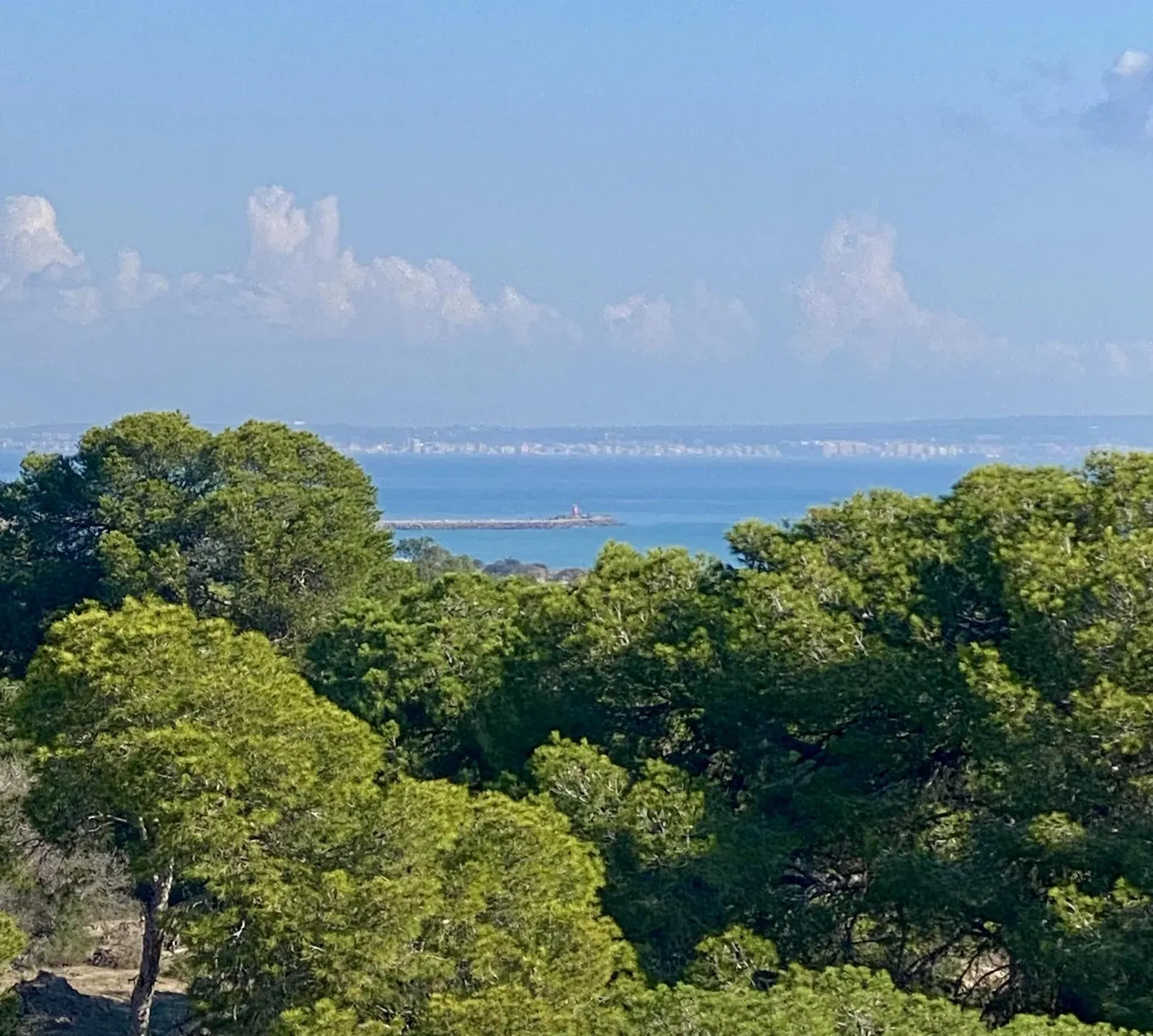 Luxury New Build Apartments Near the Beach in Guardamar del Segura — 2