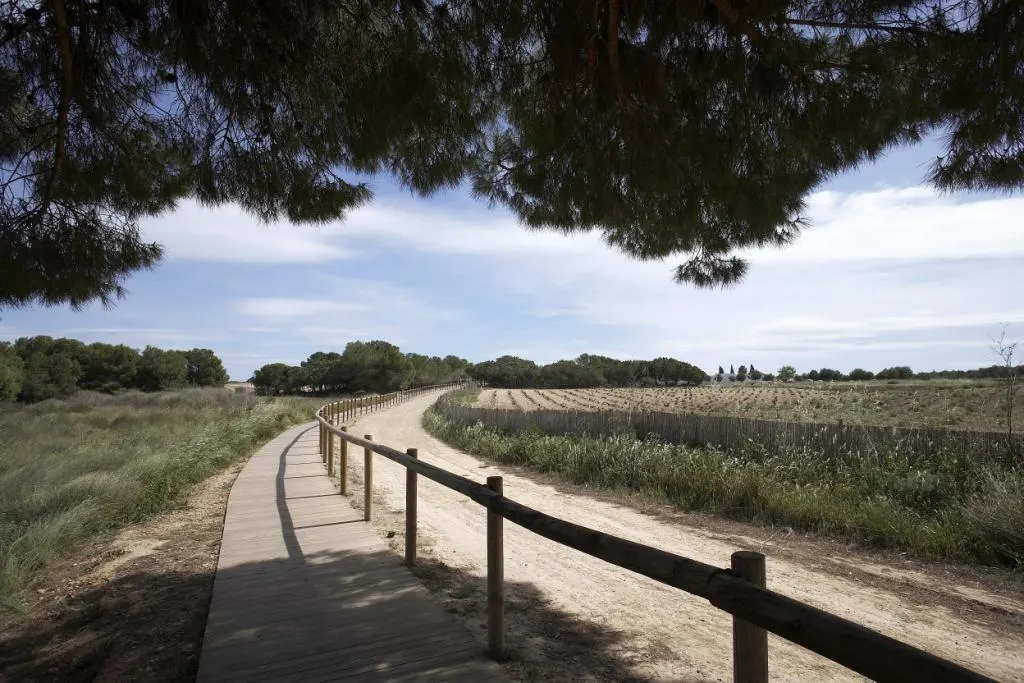 New Residential Development in Torrevieja, Just 1 km from the Sea — 5